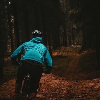 Biken im Wald, Foto: unsplach/Julian Hochgesang