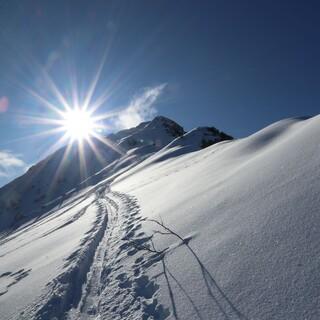 Letztes Wochenende gab´s an der Nordseite der Krinnenspitze super Powder. Foto: JDAV/Pröttel