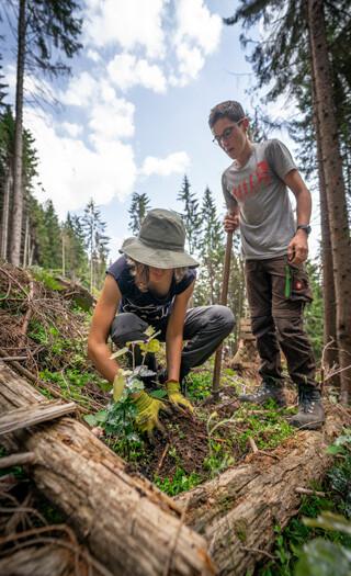 Sebst anpacken und etwas Sinnvolles tun bei einer Umweltbaustelle, Foto: JDAV/Silvan Metz