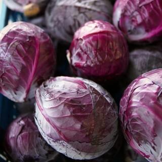 Rotkohl; Bild: pixaby