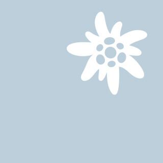 Homepage-Teaser-Edelweiss-auf-blau