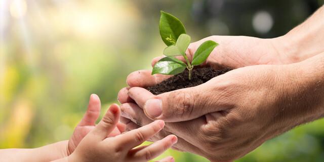 Foto: Adobe Stock/Romolo Tavani