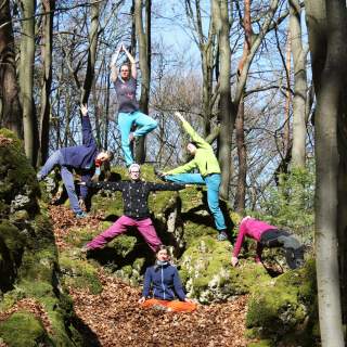 Menschen stehen im Wald auf großen vermoosten Steinen. Sie machen Bewegungen aus dem Yoga und meditieren.