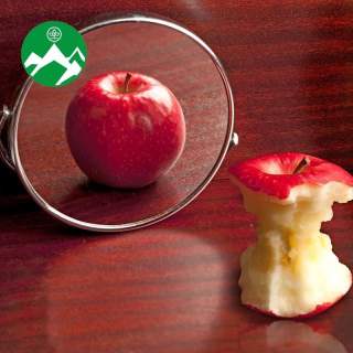 Ein Apfel in einem Spiegel; vor dem Spiegel ein weit gegessener Apfel