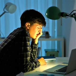 Ein Junge sitzt mit bedrücktem Gesichtsausdruck vor dem Laptop