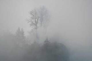 In starkem Nebel sind leicht Baumwipfel zu erkennen