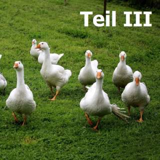 teaser_duc_teil-iii_id86747.jpg