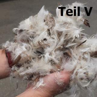 teaser_duc_teil-v_id86749.jpg