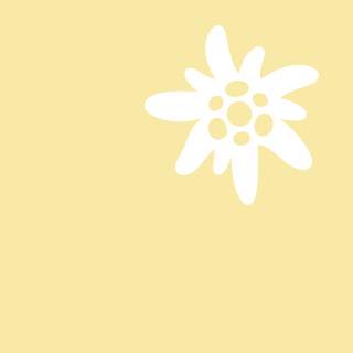 homepage-teaser-edelweiss-auf-gelb_id64487.jpg