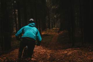 Ein*e Mountainbikefahrer*in fährt auf ein dunklen Wald zu