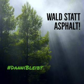 links ein Baum im Nebel; Sonnenstrahlen; Text